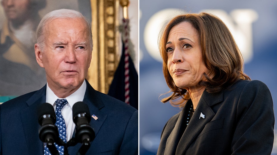 Potential Harris White House murky as VP ‘never exhibited a core set of beliefs’: Dem strategist