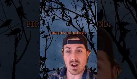 They Found A DEMON In The Forest!