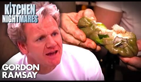 <a class="amazingslider-posttitle-link" href="https://michaelantonio.biz/this-kitchen-is-absolutely-disgusting-full-episode-kitchen-nightmares/">This Kitchen is ABSOLUTELY DISGUSTING! | Full Episode | Kitchen Nightmares</a> This Kitchen is ABSOLUTELY DISGUSTING! | Full Episode | Kitchen Nightmares
