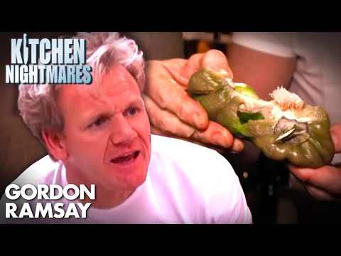 <a class="amazingslider-posttitle-link" href="https://michaelantonio.biz/this-kitchen-is-absolutely-disgusting-full-episode-kitchen-nightmares/">This Kitchen is ABSOLUTELY DISGUSTING! | Full Episode | Kitchen Nightmares</a> This Kitchen is ABSOLUTELY DISGUSTING! | Full Episode | Kitchen Nightmares
